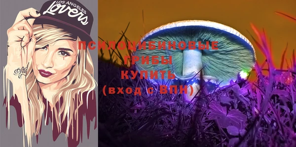 твердый Армянск